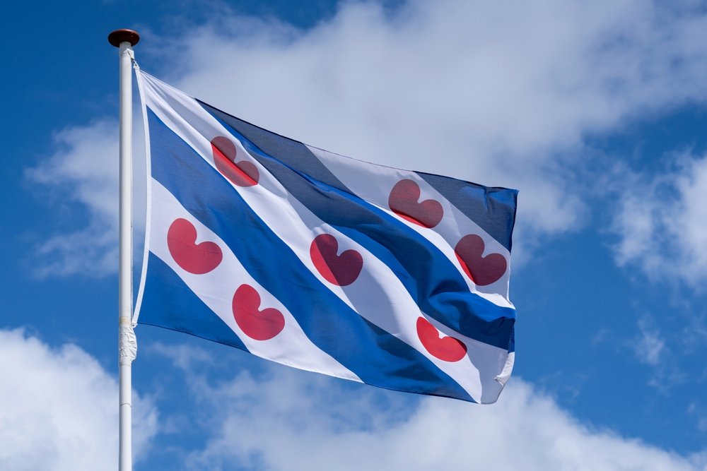 Friese vlag kopen​